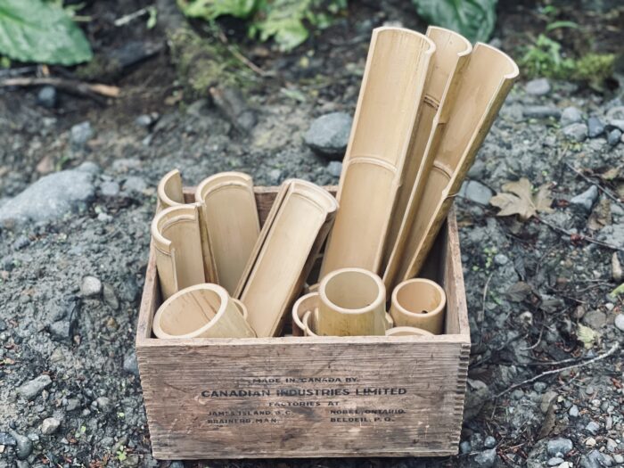 Bamboo Channels - Image 9